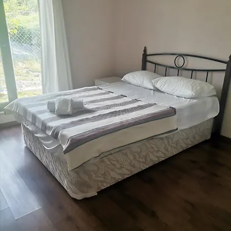 Villa Villagreenstar