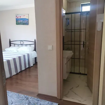 Villagreenstar Villa Sapanca