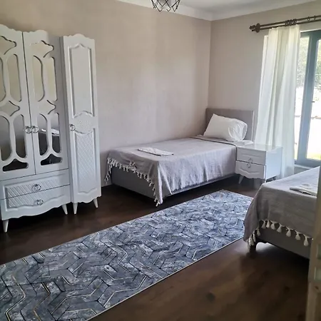 Villagreenstar